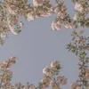 cherrybpeach