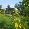 irasurya80