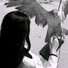 tayf_48