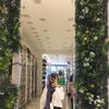 rahma_abrahim