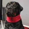 blade_rottweiler