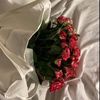 lnl_71