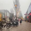 fatimaben866