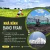 Bano Farm