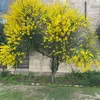 user5348816001619
