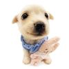 puppypingrak