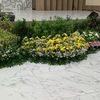 gugus_68