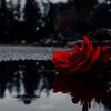 nooor_7601