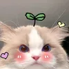 kedyma_22