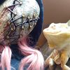 hazelnoodle