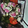 rozadlshad0