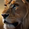 irqi.lion