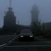 ramo_6608