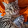 mambam_294