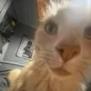 luvvfromkat