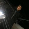 houssam.85