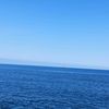 amelbouyagoub39