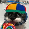 i_want_sushi2