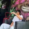 diking222