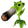 bluntpea