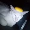 cloudy_cute09835