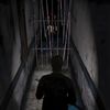 boiled_rat27