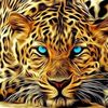 kimytraore1
