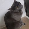 axel_19370