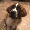 www.yourcute.com3