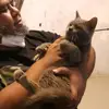 justbeingacatdaddy