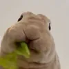 itsmixdochat