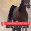 mubarak.ali.alnaim