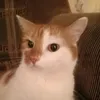 lila.fkk