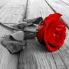 userfxad91sjn7