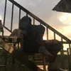 _rbyzs