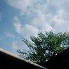 davitsetyo652