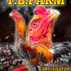 t.b.farm555