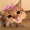 dybxqykkw6i7