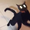 🐺