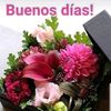 userq56qpgfzo4