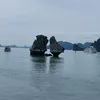 haithuy6883