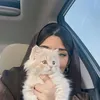 sha_gull50