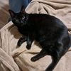 heatherbeaman451