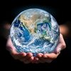 ~World Life~