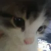 minhuuu04