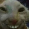 hdgsvj69