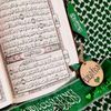 mohammed1997hijazi