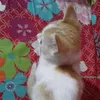 aklimasultanajessy