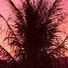 visaoaguia01