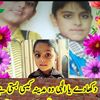 faqernasirsheikh